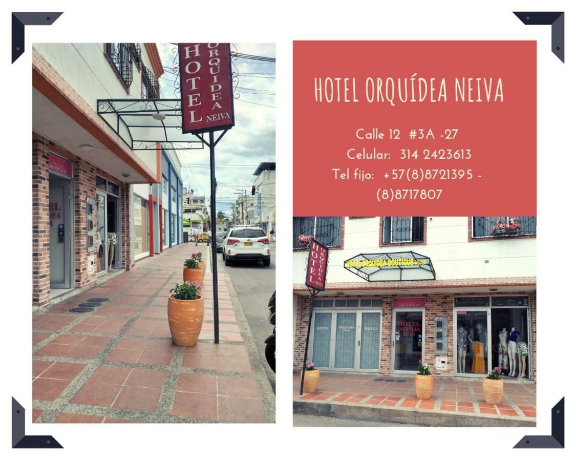 Hotel Orquidea Neiva Neiva  Ngoại thất bức ảnh